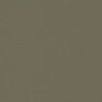 NCAA South Carolina Gamecocks Hunt Camo Short Sleeve T-Shirt