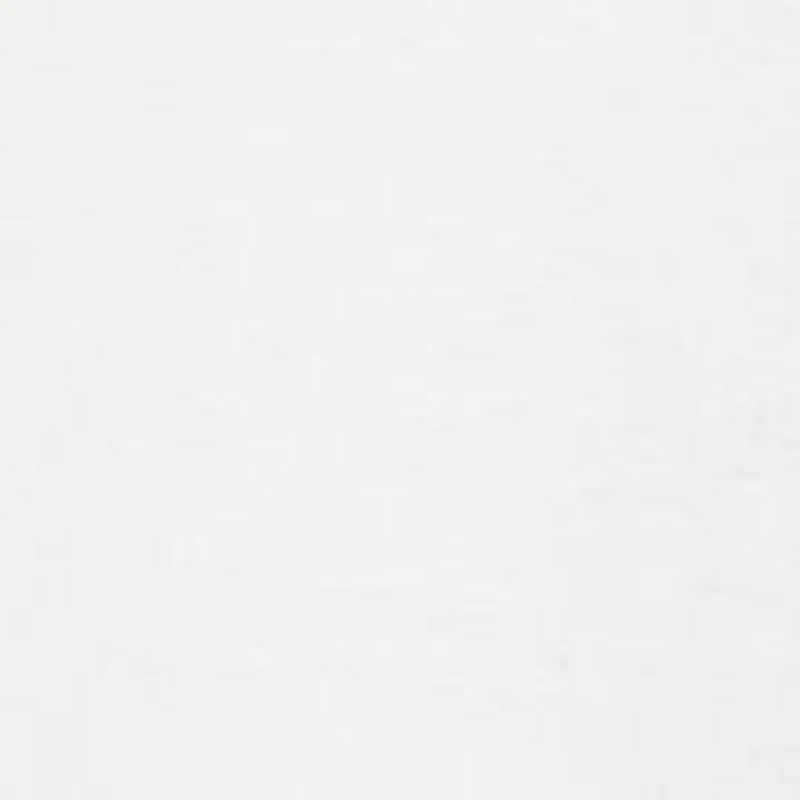 NCAA South Carolina Gamecocks Standards Short Sleeve T-Shirt