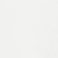 NCAA South Carolina Gamecocks Standards Short Sleeve T-Shirt