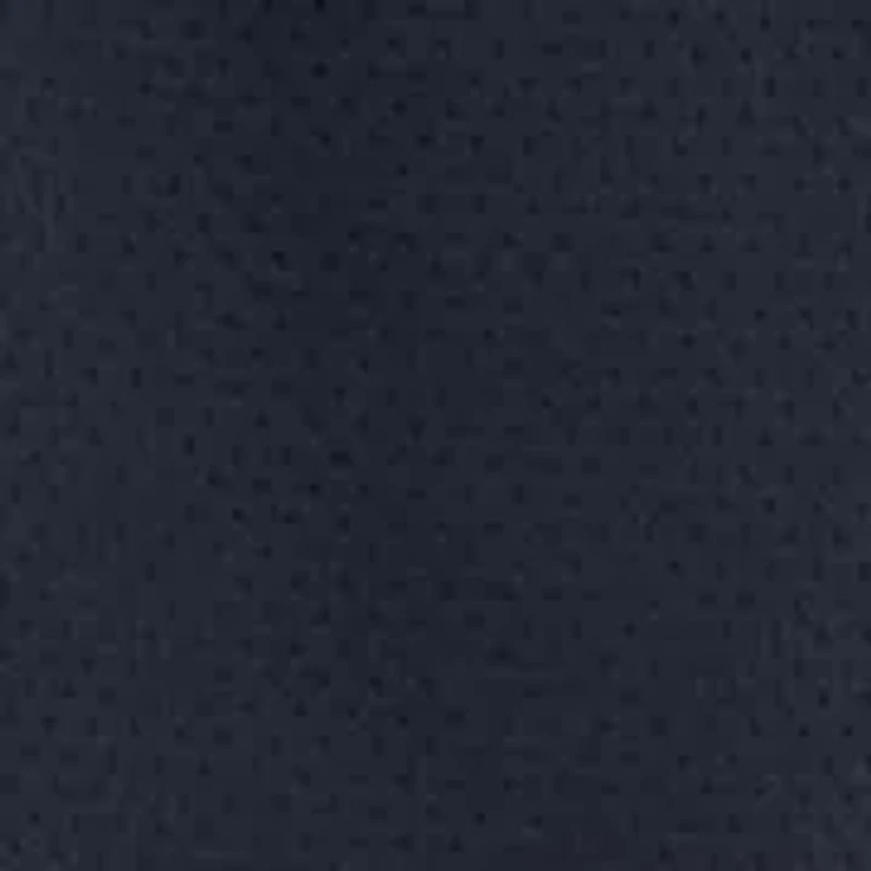 Big & Tall Mesh Shorts