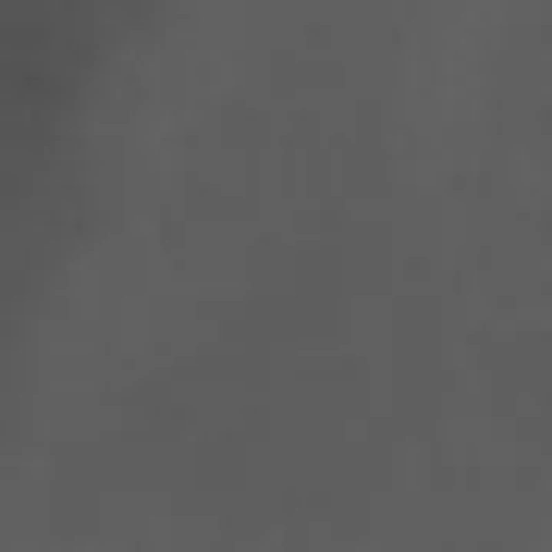 Tech Woven Wordmark Shorts