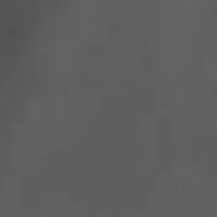 Tech Woven Wordmark Shorts