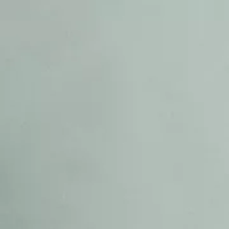 Vibe Woven Cargo Shorts