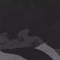 Rival Fleece Printed Hoodie