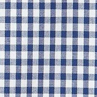 Short Sleeve Button Down Cotton Gingham Shirt
