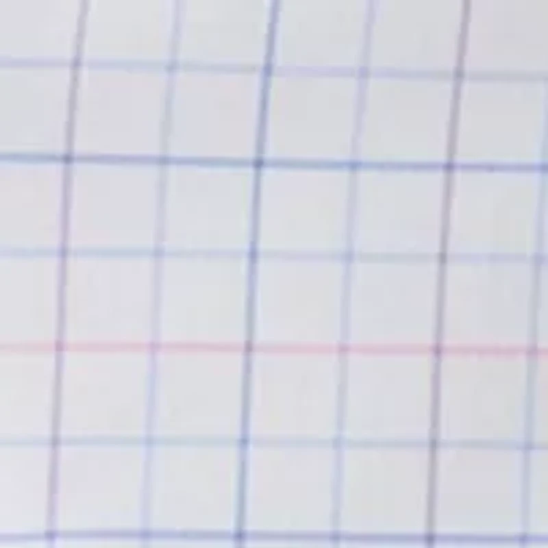 Multicolored Windowpane Printed Button Down Shirt