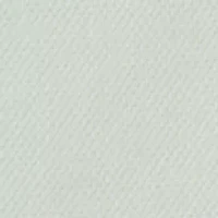 Men's Flex Twill Button Down Shirt