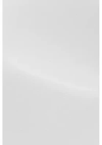 Premium Non-Iron, Slim Fit