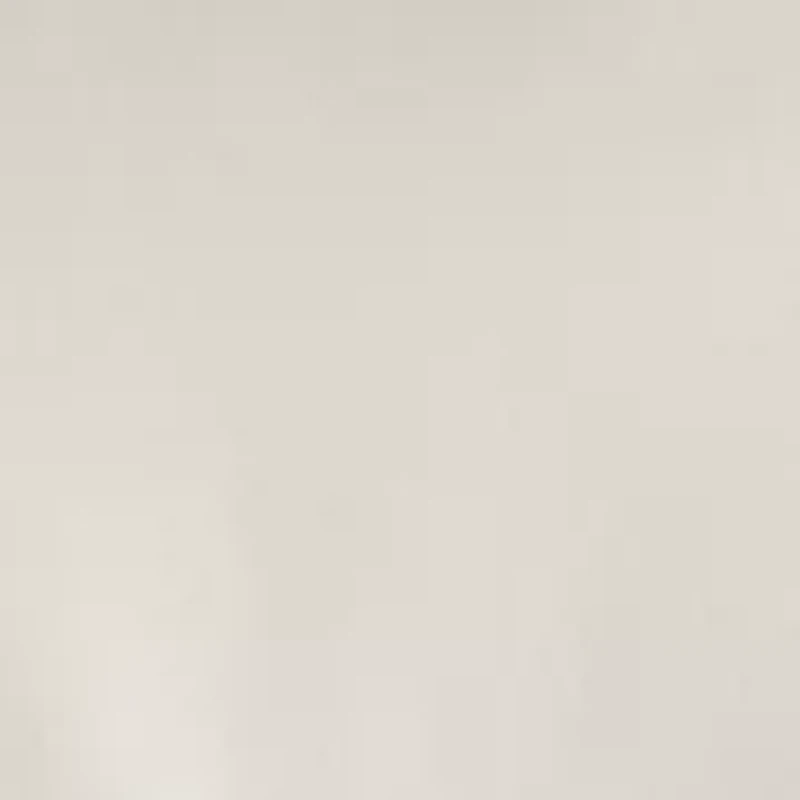 Men's Long Sleeve Performance Solid Woven Button Shirt