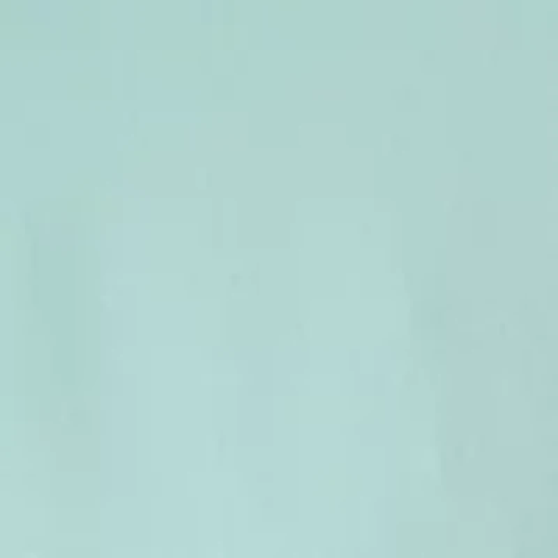 Men's Long Sleeve Woven Button Polo Shirt