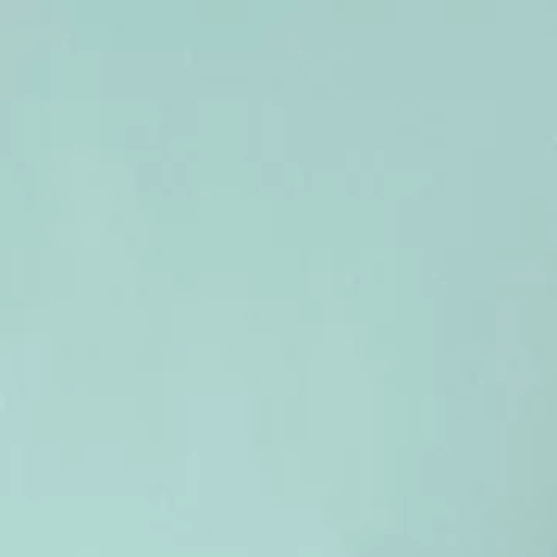 Men's Short Sleeve Woven Button Polo Shirt