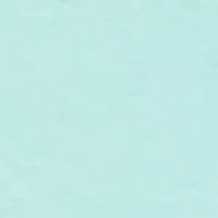 Coastal Blue Canal Vest