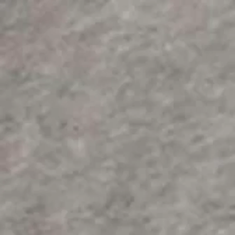 Short Sleeve Party Animal Graphic T-Shirt