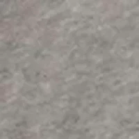 Short Sleeve Party Animal Graphic T-Shirt