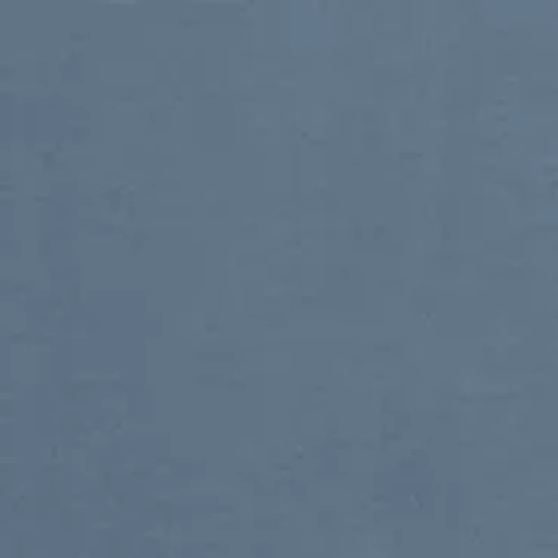 Short Sleeve South Carolina Flag Graphic T-Shirt