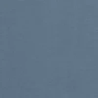 Short Sleeve South Carolina Flag Graphic T-Shirt