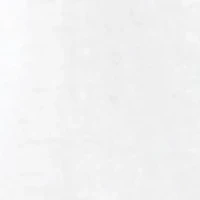 Texas Flag Graphic T-Shirt