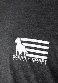 Big & Tall Americana Dog Graphic T-Shirt