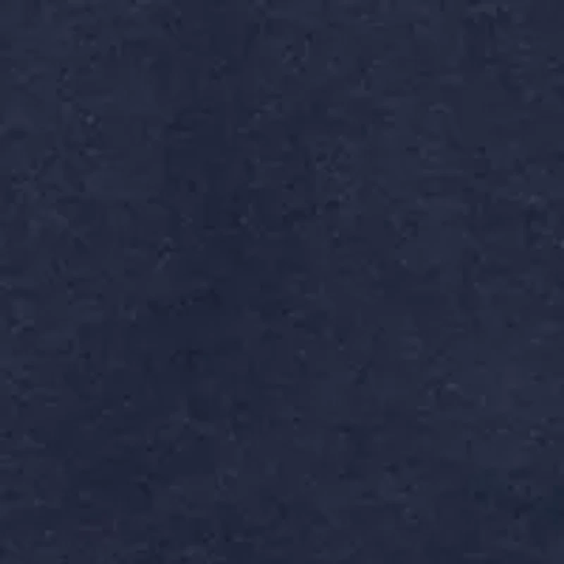 Big & Tall Fish Flag Graphic T-Shirt