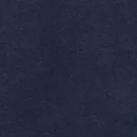 Big & Tall Fish Flag Graphic T-Shirt