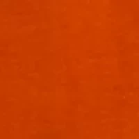 Big & Tall Short Sleeve Pez Fish Graphic T-Shirt