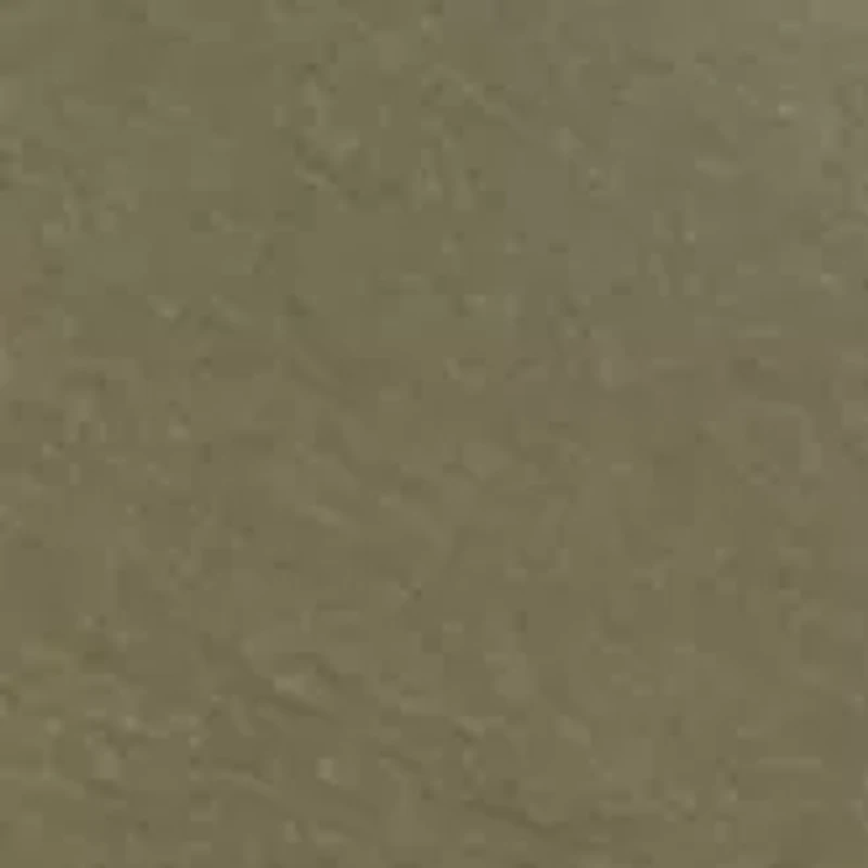 Big & Tall Short Sleeve Duck Hunt Dog Boat Graphic T-Shirt