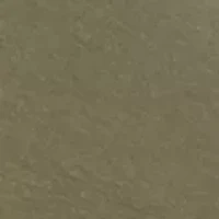 Big & Tall Short Sleeve Duck Hunt Dog Boat Graphic T-Shirt