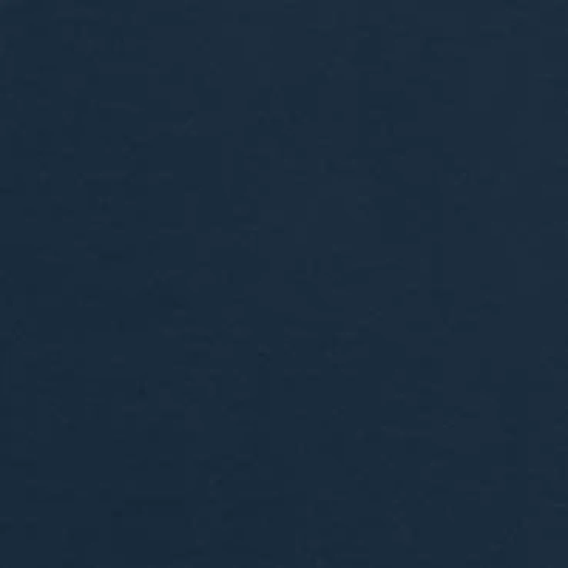 Short Sleeve Marlin Flag Graphic T-Shirt