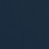 Short Sleeve Marlin Flag Graphic T-Shirt