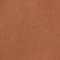 Long Sleeve Americana Deer Graphic T-Shirt