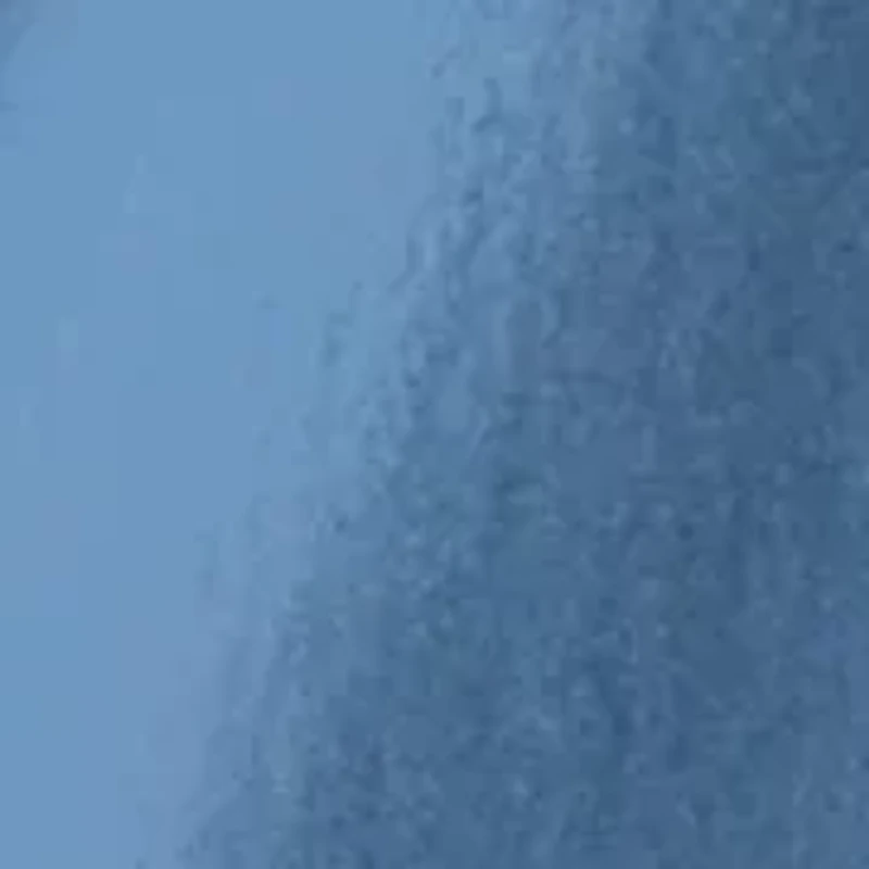 South Carolina Short Sleeve Graphic T-Shirt