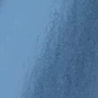 South Carolina Short Sleeve Graphic T-Shirt