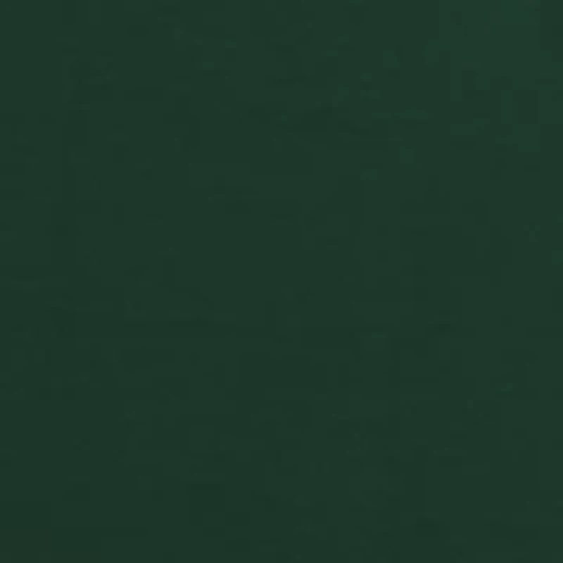 Dog Duck Graphic T-Shirt