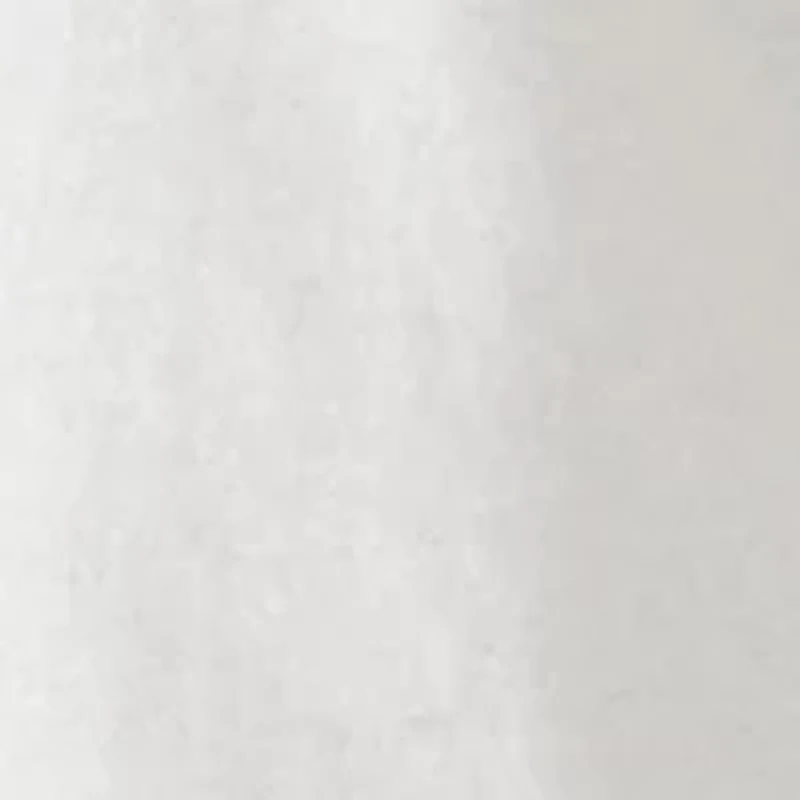 Barracuda Short Sleeve Graphic T-Shirt