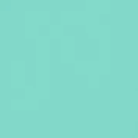 Coolouts Graphic T-Shirt