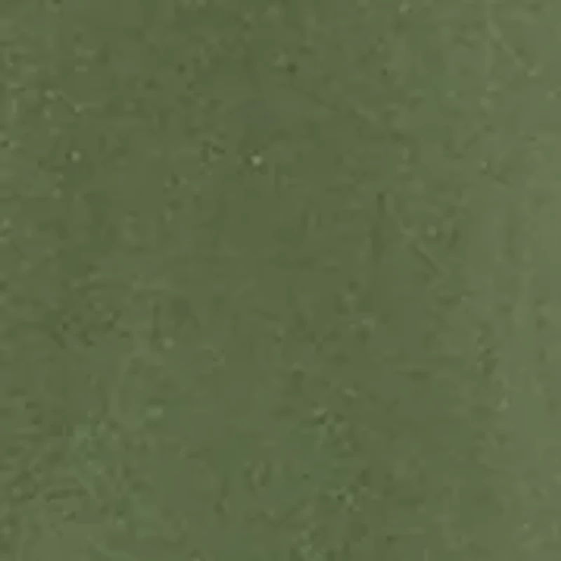 Men's Short Sleeve Raiden Graphic T-Shirt