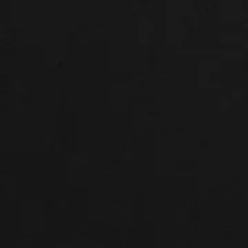 Long Sleeve Duck Camp Graphic T-Shirt