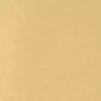 Men's Ducks Graphic T-Shirt