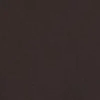 Big & Tall Twill Shirt