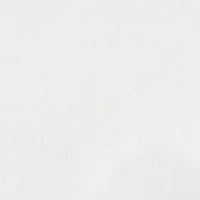 Big & Tall Twill Shirt