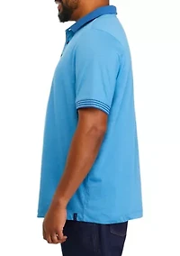 Big & Tall Short Sleeve Stripe Polo Shirt