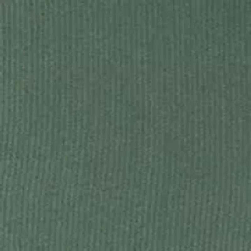 Men's Regular Textured Solid Button Down Shirt