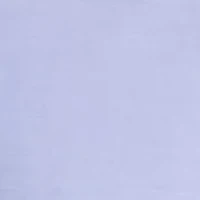 Big & Tall Long Sleeve Slim Dobby Cotton Blend Button Up Shirt