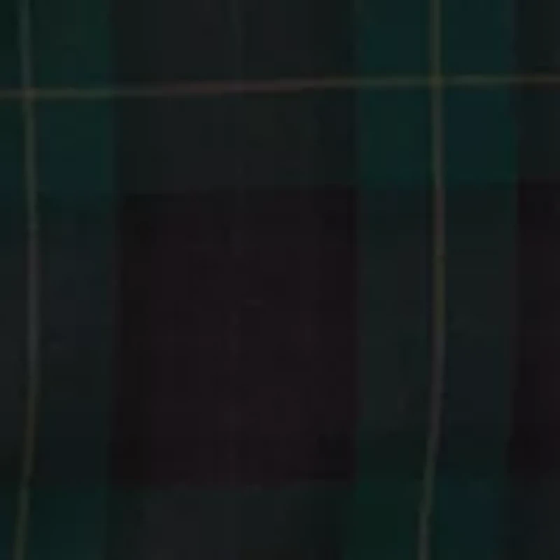 Men's Plaid Sportcoat