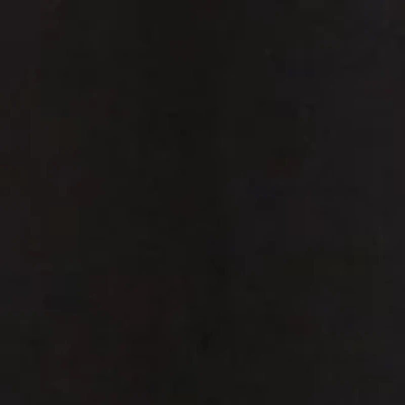 Classic Graphic T-Shirt