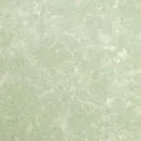 Acid Wash T-Shirt
