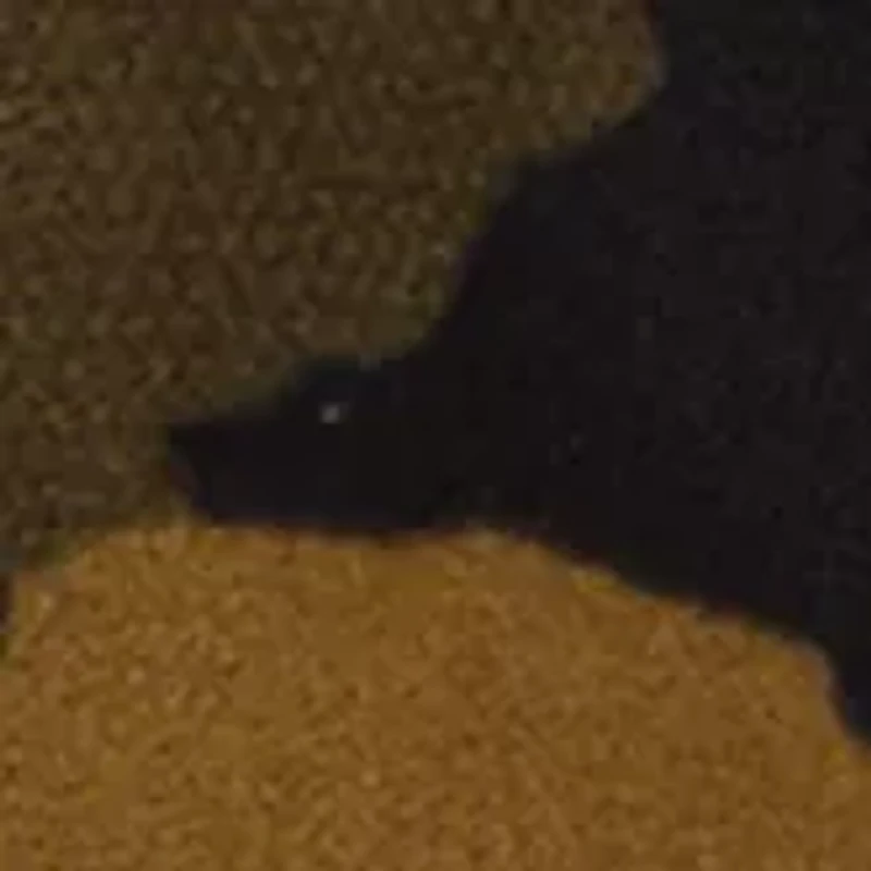 Allover Print Explorer Fleece Shirt Jacket