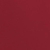 Arkansas Razorbacks Tribute Polo Shirt