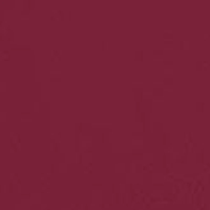 NC Central Eagles NCAA North Carolina Tribute Polo