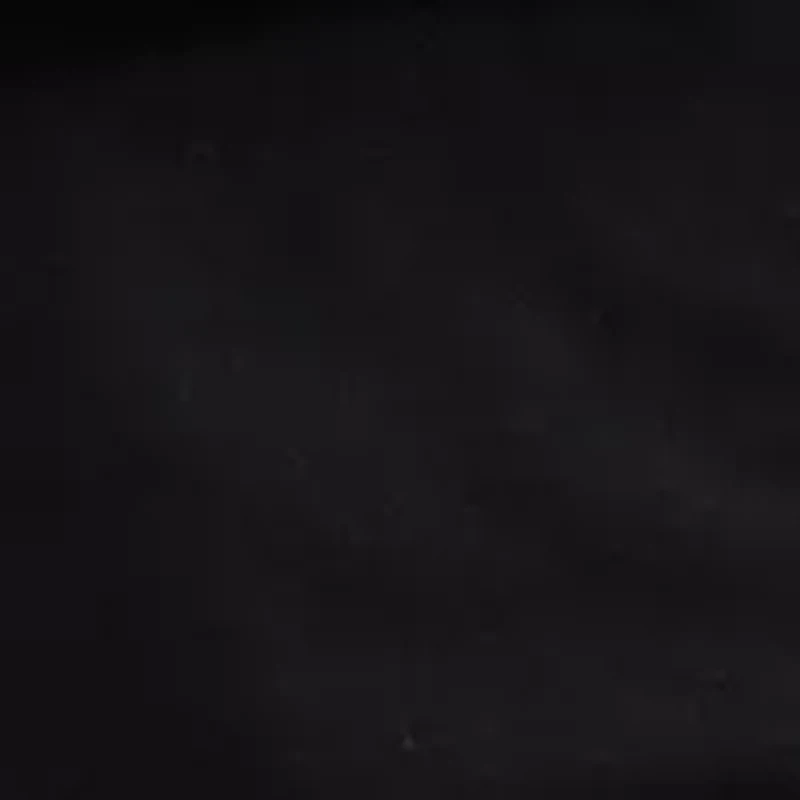 Men's Chip Worker Vest